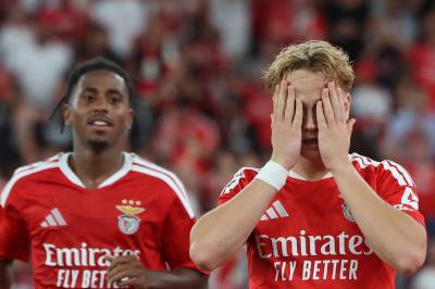 Benfica - Gil Vicente