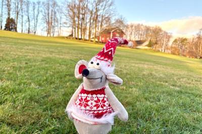 Luke 12: Hvor er julemusa her?