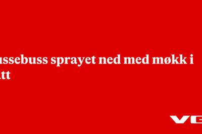 Russebuss sprayet ned med møkk i natt