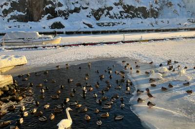 Matingsforbud er ikke veien å gå