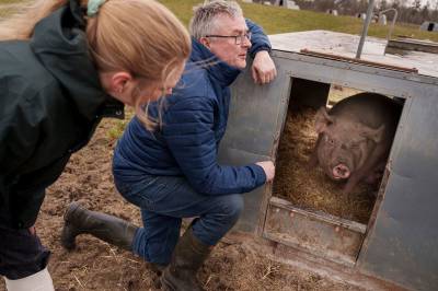 Svin, sprøytemidler og kokain – i morgen går danskene til valg