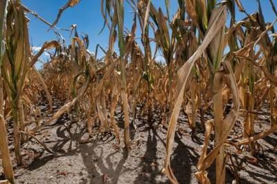 Dette kan skje ved to graders global oppvarming