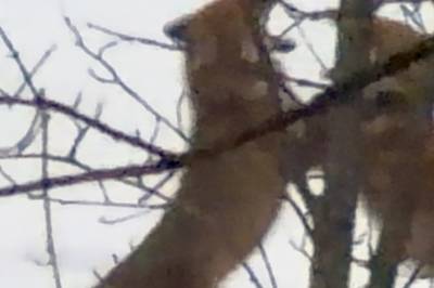 Filmet i Oslo: - Intenst