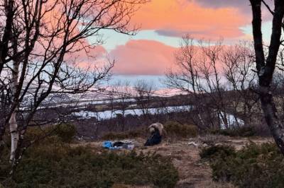Erling (27) flyktet i superundertøyet langs E6