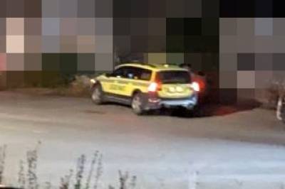 Gutt angrepet av hund
