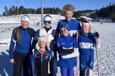 Gjerstad-suksess i landsdelsmesterskapet