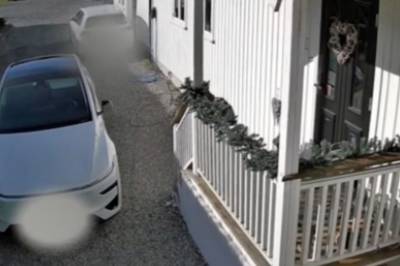 Siste nytt om skjelvet