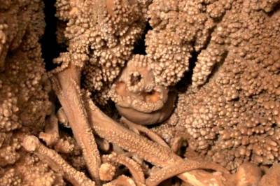 Møtt av dette synet: - Helt overveldet