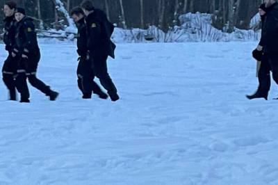 Kolliderte med trær i høy fart