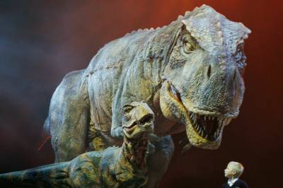 Studie bekrefter mistanke om Tyrannosaurus rex