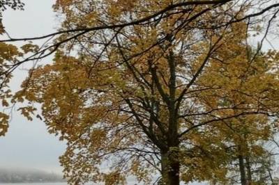 Mann knyttes til nye overfall av kvinner