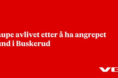 Gaupe avlivet etter å ha angrepet hund i Buskerud
