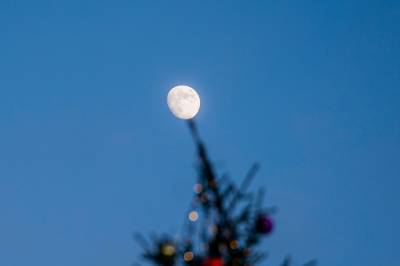 Hva med å tilgi hverandre i julen?