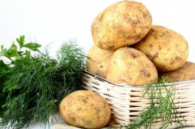 Dumt å kutte ut poteten