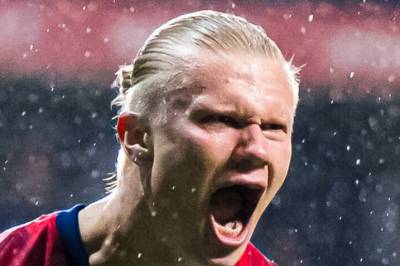 Estland reagerer
