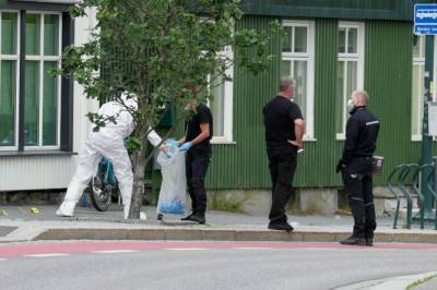 Erkjenner straffskyld for drap