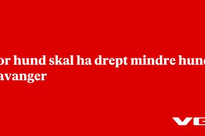 Stor hund skal ha drept mindre hund i Stavanger