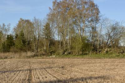 Mangfold i et hav av monokultur