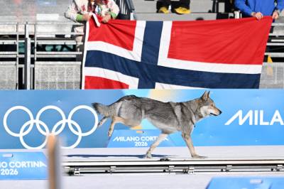 Hund i OL-løypa: – Jeg ble redd