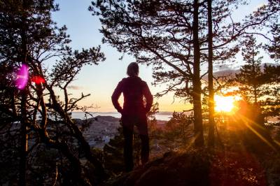 Fatigue etter hjerneskade: Veiviser kan gi et mer aktivt liv