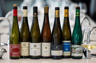 De beste kjøpene på Polets tysklandslipp