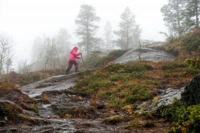 Høsten har kommet for å bli