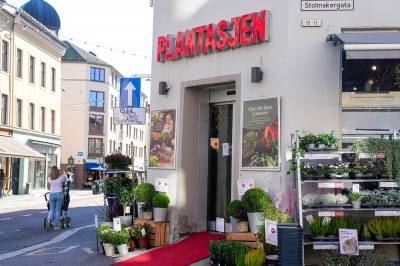 Plantasjen gikk i minus