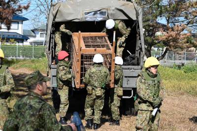 Japan setter inn soldater mot bjørner
