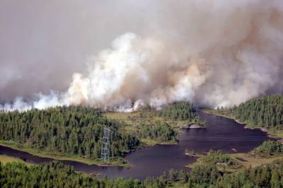 Denne typen klarer seg best når krisen treffer