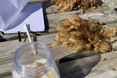 Tareskogene forsvinner dobbelt så fort som korallrevene. Slik kan de kanskje reddes