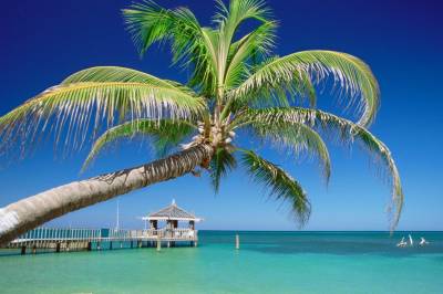 Dei som svekkjer demokratia