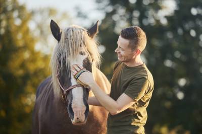 Hest som kollega kan beskytte terapeuter mot utbrenthet