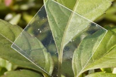 Japanske forskere har laget en helt spesiell type plast