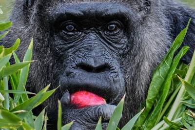 Dagens quiz: Fredag 3. april 2026