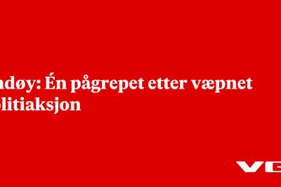 Andøy: Én pågrepet etter væpnet politiaksjon