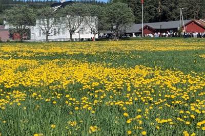 Pinsehelg, knallvær og Den hellige ånd