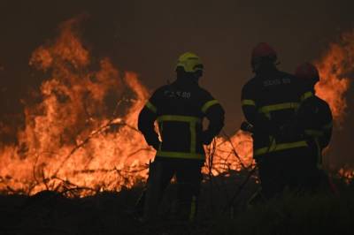 Skogbrannene raser – flere personer pågrepet