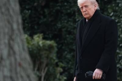 Advokaten og storkunden: Fra vaktbikkje til veskehund?