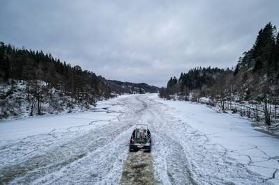 Bjørnen som trenger seg gjennom isen