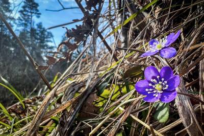 Fin lørdag i vente og neste uke blir varmere