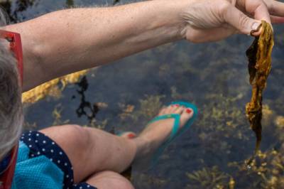 Sprengstoffabrikk utsetter lovet rensing: – Legger stein til byrden for en hardt presset Oslofjord