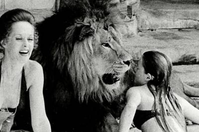 - Vi var ufattelig dumme som lot løven bo i huset med oss