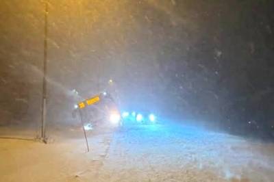 Buss har kjørt av veien på Tromsøya