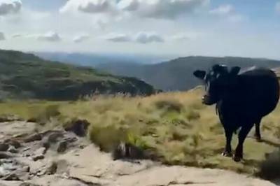 Marie (22) vart meia ned på fjelltur