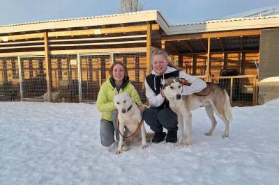 Tana-elever klare for Finnmarksløpet: – Viktig å bli kjent med hundene