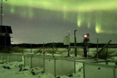 Mer vann, mindre utslipp: Nye funn fra myr i Finnmark