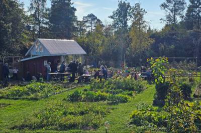 30 liter suppe og godt fellesskap i hagen «Grønne Havet» på Skåtøy