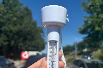 Lot termometer ligge i bilen: – Ikke la hunden din sitte i bilen
