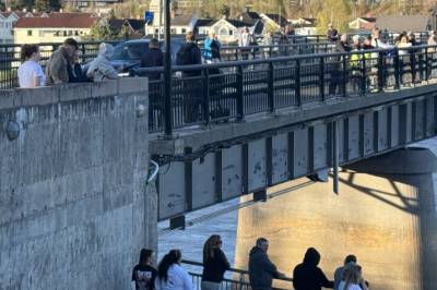 Hokksundhvalen sprengt med dynamitt