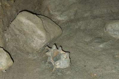 Gjorde en rekke funn i norsk grotte: – Ekstremt sjeldent og verdifullt